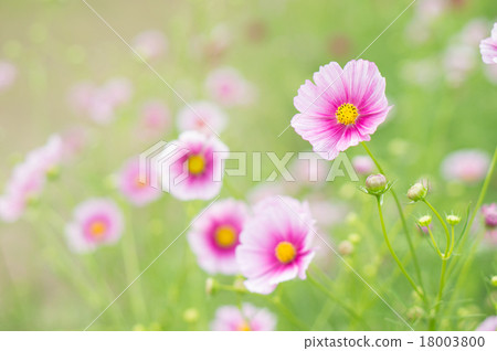 宇宙（日之丸） 18003800