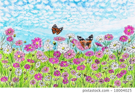 Cosmos and Butterflies 18004025