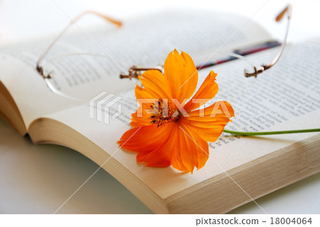 宇宙和書籍 18004064