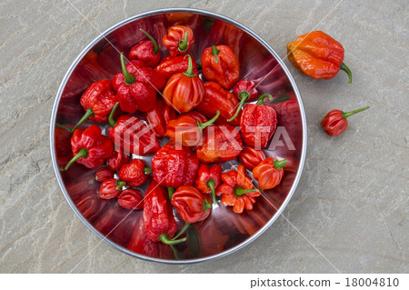 Moruga Scorpion - Chilli Peppers 18004810