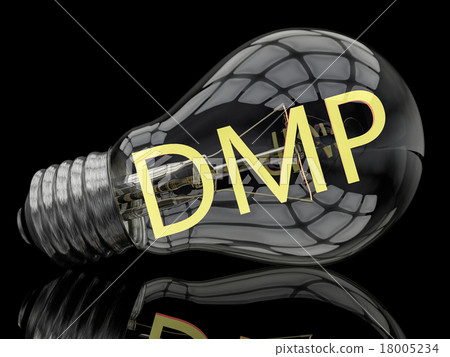 DMP Concept DMP Concept 18005234
