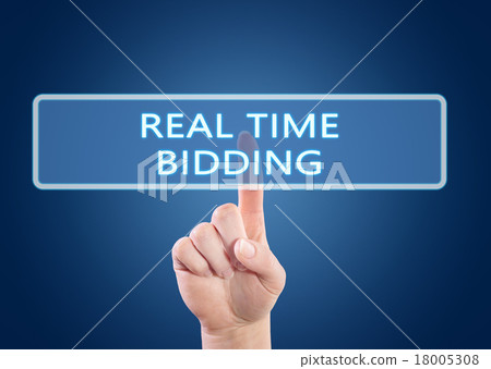 Real Time Bidding 18005308