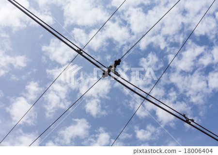 trolley trolleybus electricity cable lines trolley trolleybus electricity cable lines 18006404