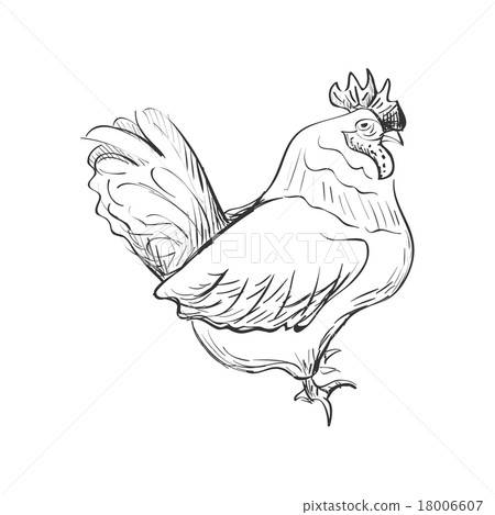 doodle bantam doodle bantam 18006607