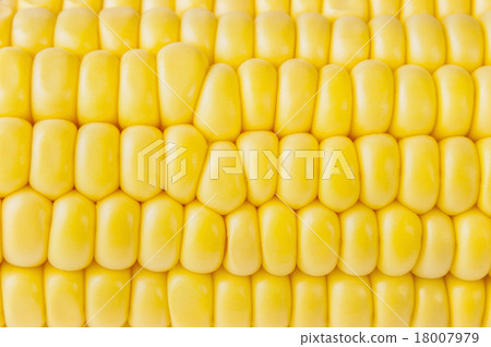 macro shot of ripe corn grains 18007979