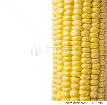 macro shot of ripe corn grains 18007980