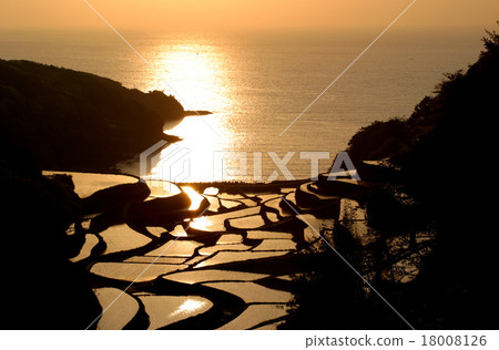 在黃昏的Hamanoura水稻梯田 18008126