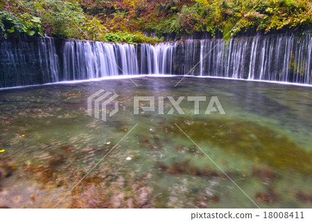 Shiraito Falls of Karuizawa of autumn leaves season Shiraito Falls of Karuizawa of autumn leaves season 18008411