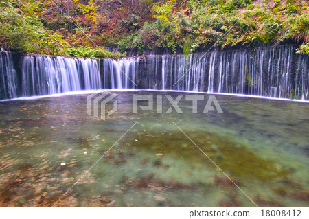 Shiraito Falls of Karuizawa of autumn leaves season Shiraito Falls of Karuizawa of autumn leaves season 18008412