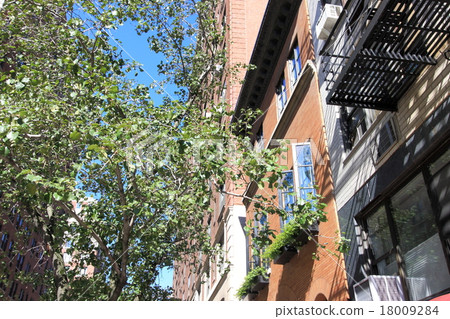 美國·紐約 18009284