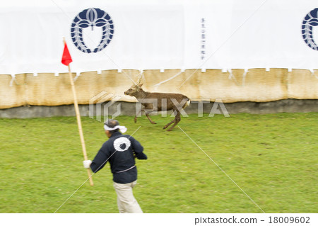 角落切割的鹿 18009602