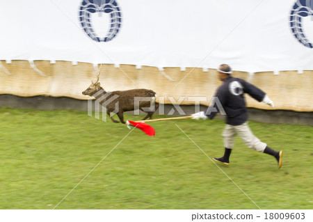 角落切割的鹿 18009603