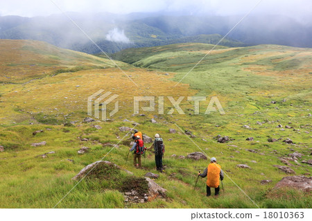 Elbow cut route of Tsukiyama autumn Elbow cut route of Tsukiyama autumn 18010363