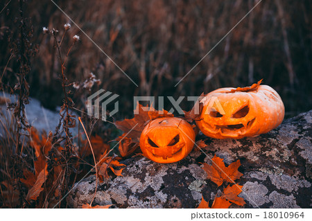 Halloween pumpkins in forest on stone. Halloween pumpkins in forest on stone. 18010964