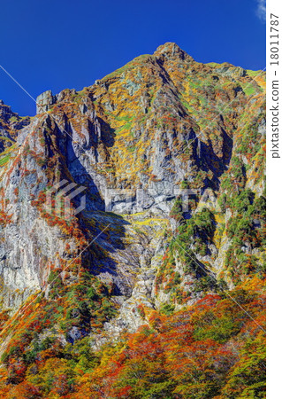 Ichino Kurasawa秋季葉子 18011787