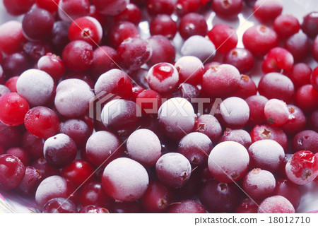 red cranberries 18012710