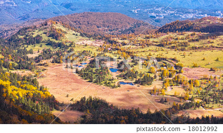 The scenery of the flat of Shibanegi autumnal leaves season 18012992