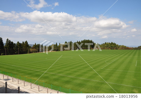Soccer field 18013956