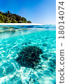 馬爾代夫水下景觀 18014074