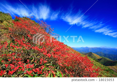 The colored leaves and cirrus clouds of the Joetsu border · Asahi-dake The colored leaves and cirrus clouds of the Joetsu border · Asahi-dake 18015053