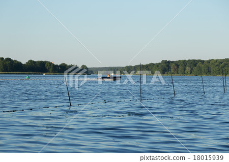 Motorboat on Jungfernsee 18015939