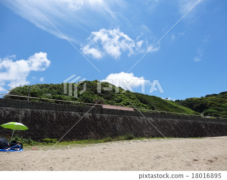 A nap in summer 18016895