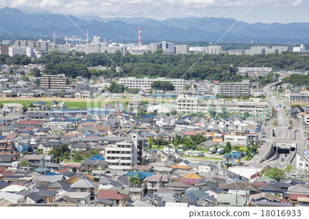 從日野市的山看到的住宅區的風景 18016933