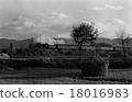 The train departure from the mountain bank main line late autumn 18016983