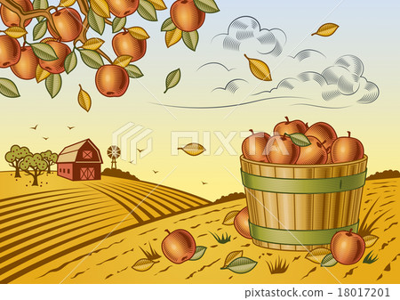 Apple harvest landscape 18017201
