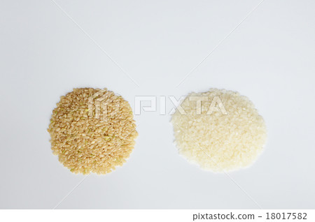 糙米和白米 18017582