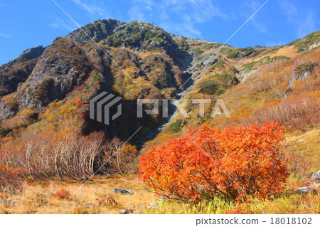 南阿爾卑斯山北山巴特勒和Nanakamado的秋葉 南阿爾卑斯山北山巴特勒和Nanakamado的秋葉 18018102