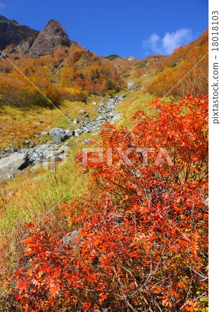 南阿爾卑斯山北山巴特勒和Nanakamado的秋葉 18018103