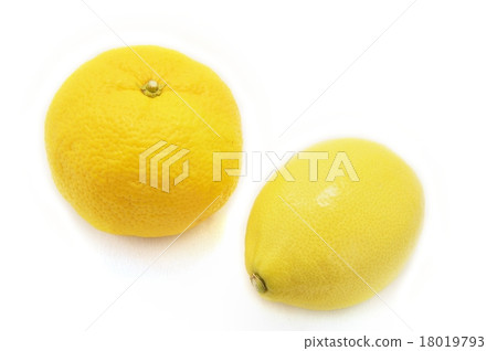 Yuzu lemon Yuzu lemon 18019793