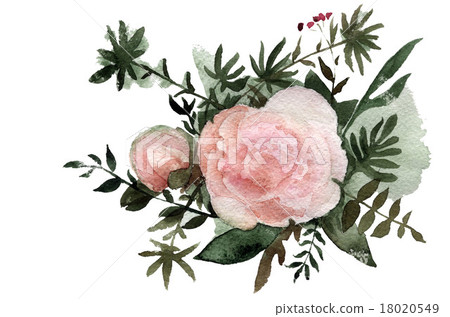 bouquet of peonies watercolor 18020549