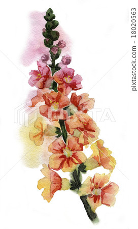 Hand Painted flowe 18020563
