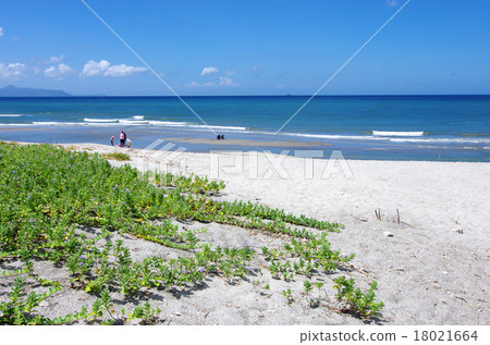 Clean sea and sand dunes of Fukihama 18021664