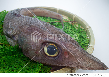 深海魚Toojin 深海魚Toojin 18021756