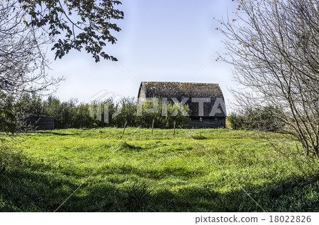 Abandoned Barn and Homestead 18022826