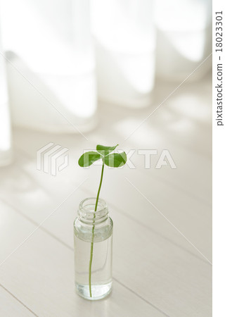 Mitsuba's Clover 18023301