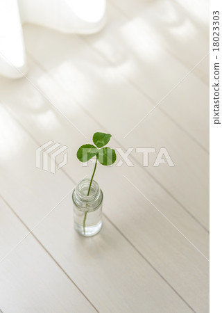 Mitsuba's Clover 18023303