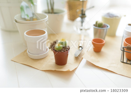 園藝用品/配件 園藝用品/配件 18023309