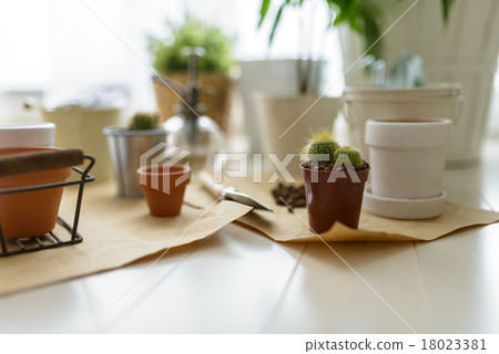 園藝用品/配件 園藝用品/配件 18023381