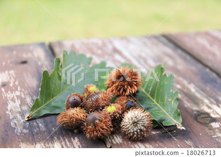 Kinnacle橡子腰果秋天風景 Kinnacle橡子腰果秋天風景 18026713