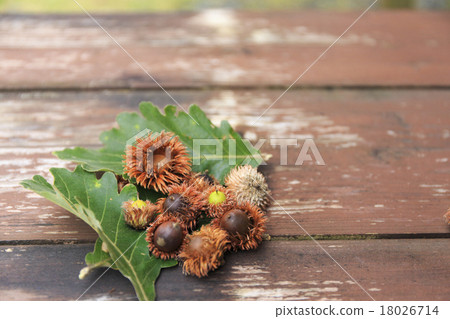 Kinnacle橡子腰果秋天風景 18026714