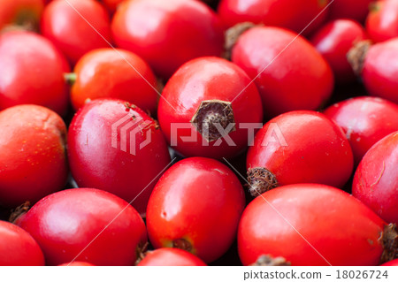 Raw rose hips 18026724