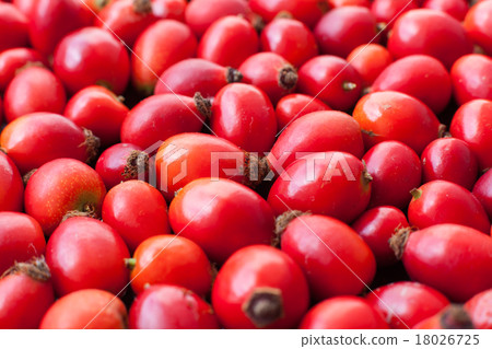 Raw rose hips 18026725