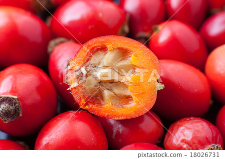 Raw rose hips 18026731