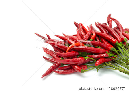 Spice Takanashi's paw red pepper Red Pepper Spice Takanashi's paw red pepper Red Pepper 18026771