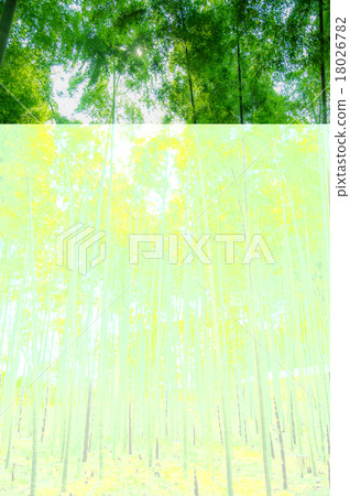 Green bamboo grove 18026782