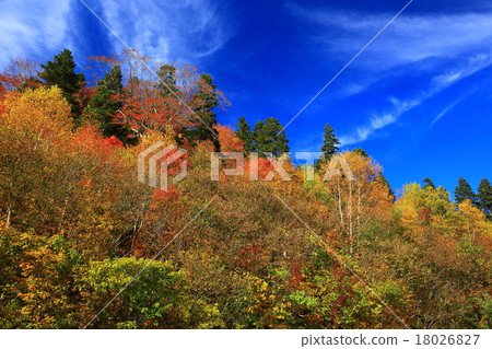 Autumn leaves of Hachimantaira 18026827
